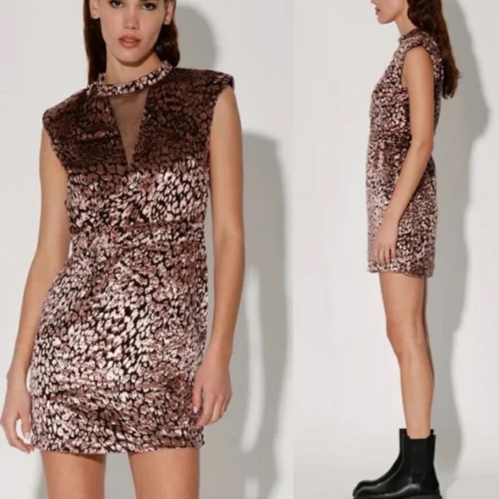 Walter Baker Leopard Rosalie Velvet Dress NEW Size 6